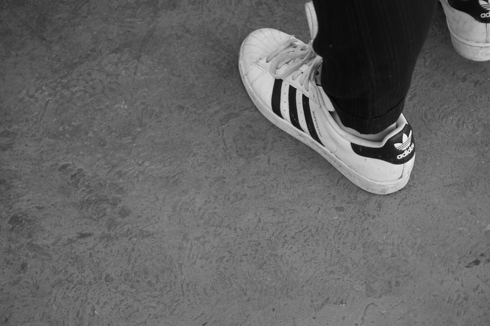 person wearing pair of white adidas Superstar