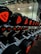 A row of black dumbbells with orange labels indicating various weights is neatly arranged on a rack in a gym setting. The dumbbells are reflected in a mirror behind them, and the gym has a visible ceiling structure with overhead lights.