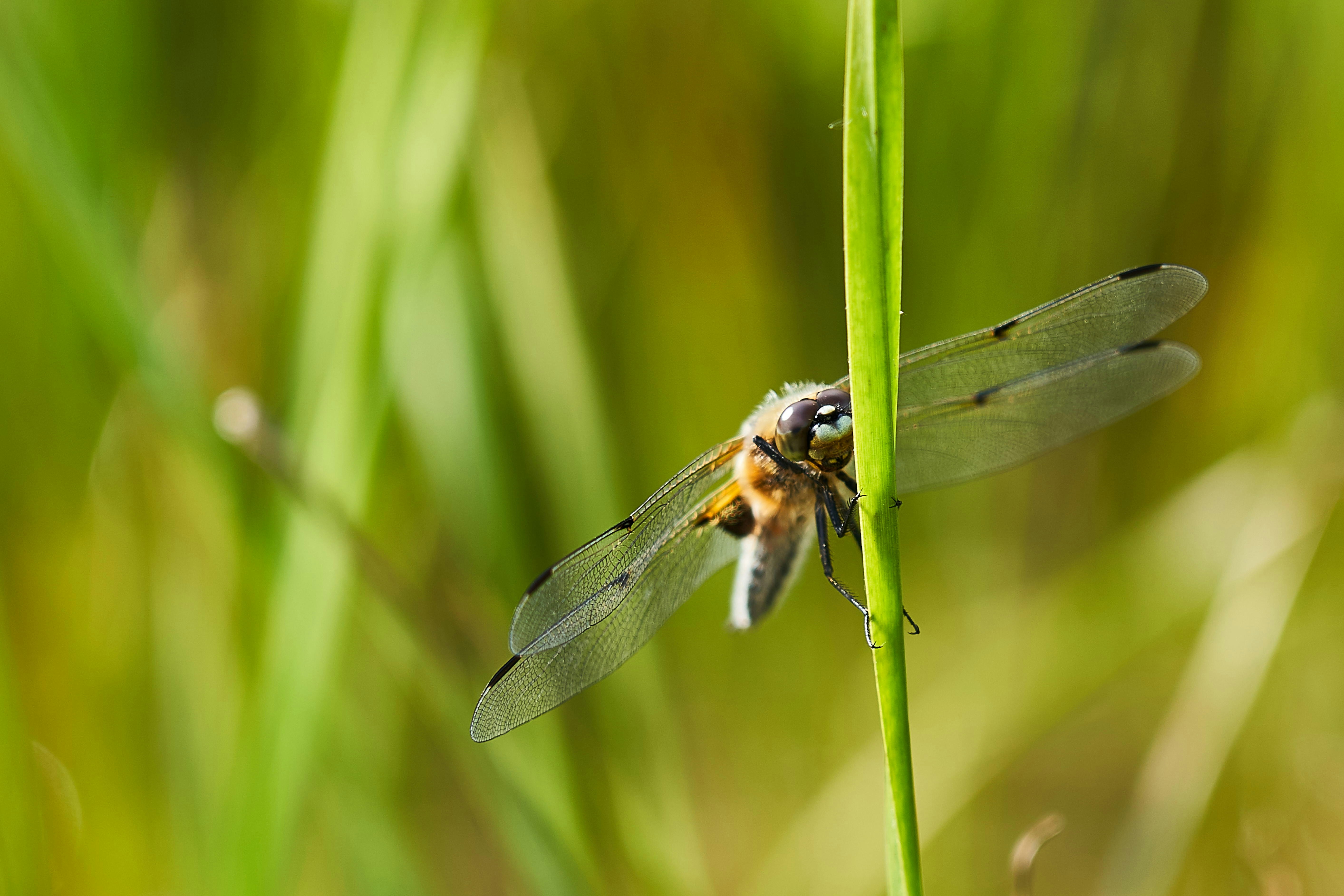 Photo by ingodoerrie