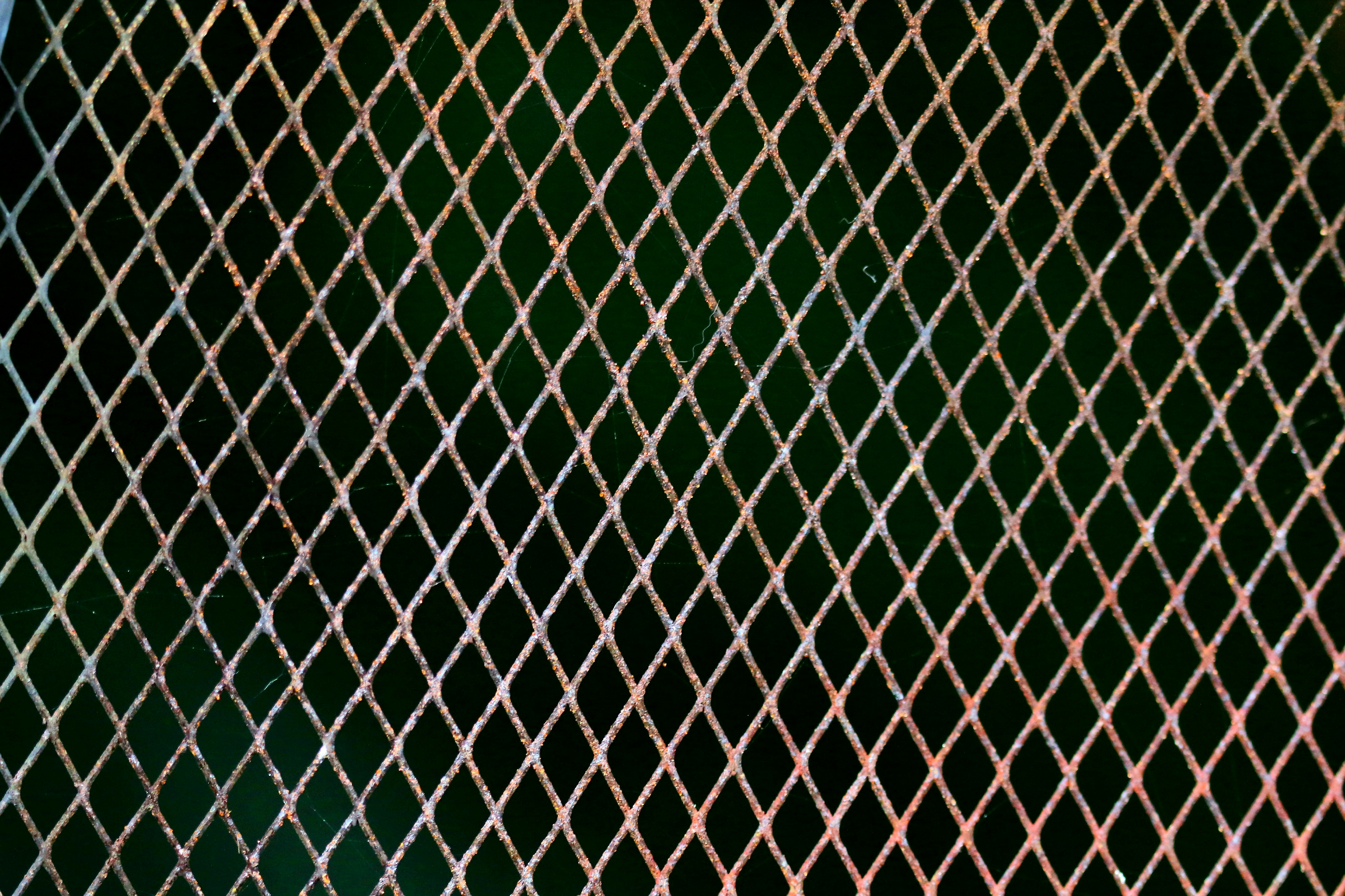 Photo by richardworks