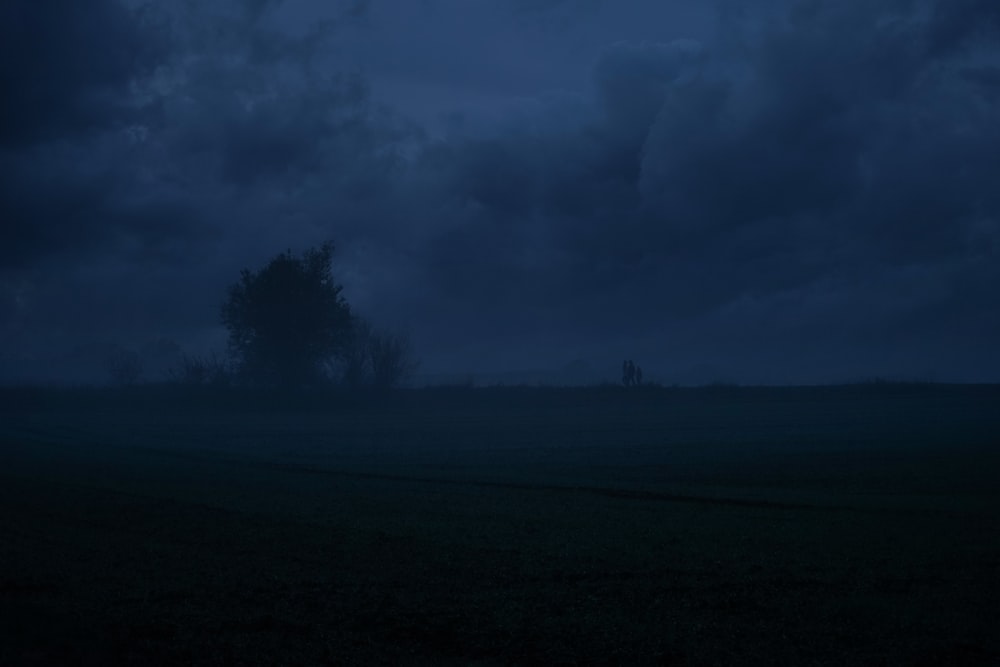landscape photography of a tree under a dramatic sky during nighttime