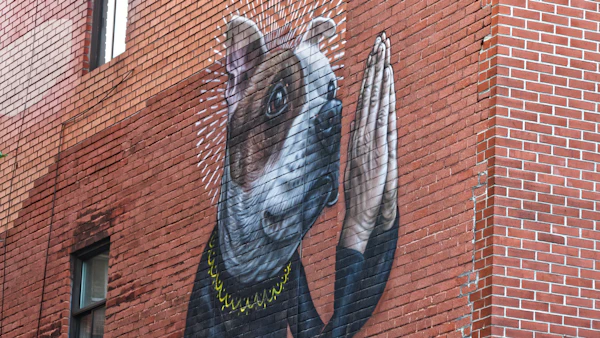 Dog Training Wynwood and Edgewater: Urban Dogs in the Loudest Neighborhood