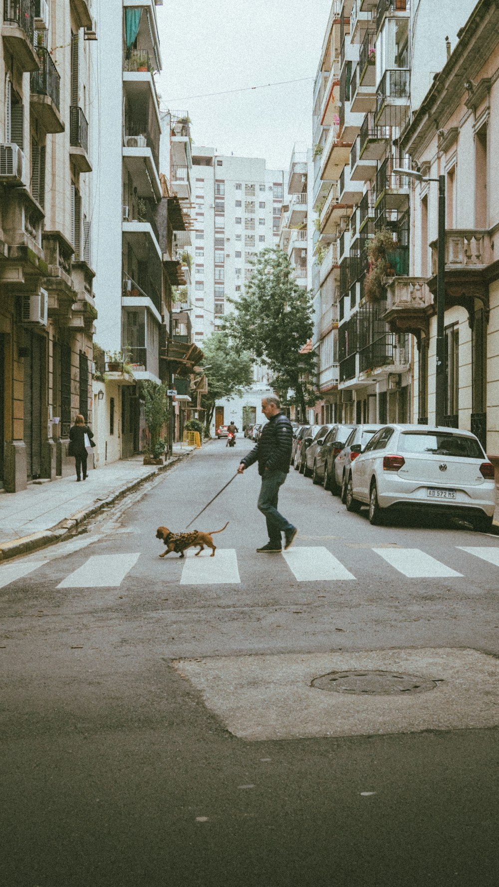 通りを横断する犬を連れた男