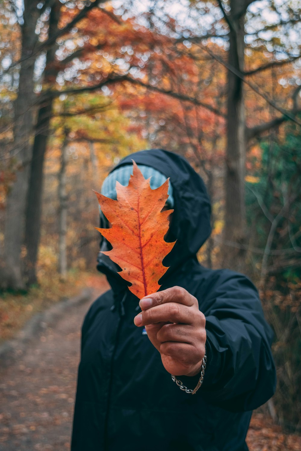 man wearing black jacket holding brown leaf