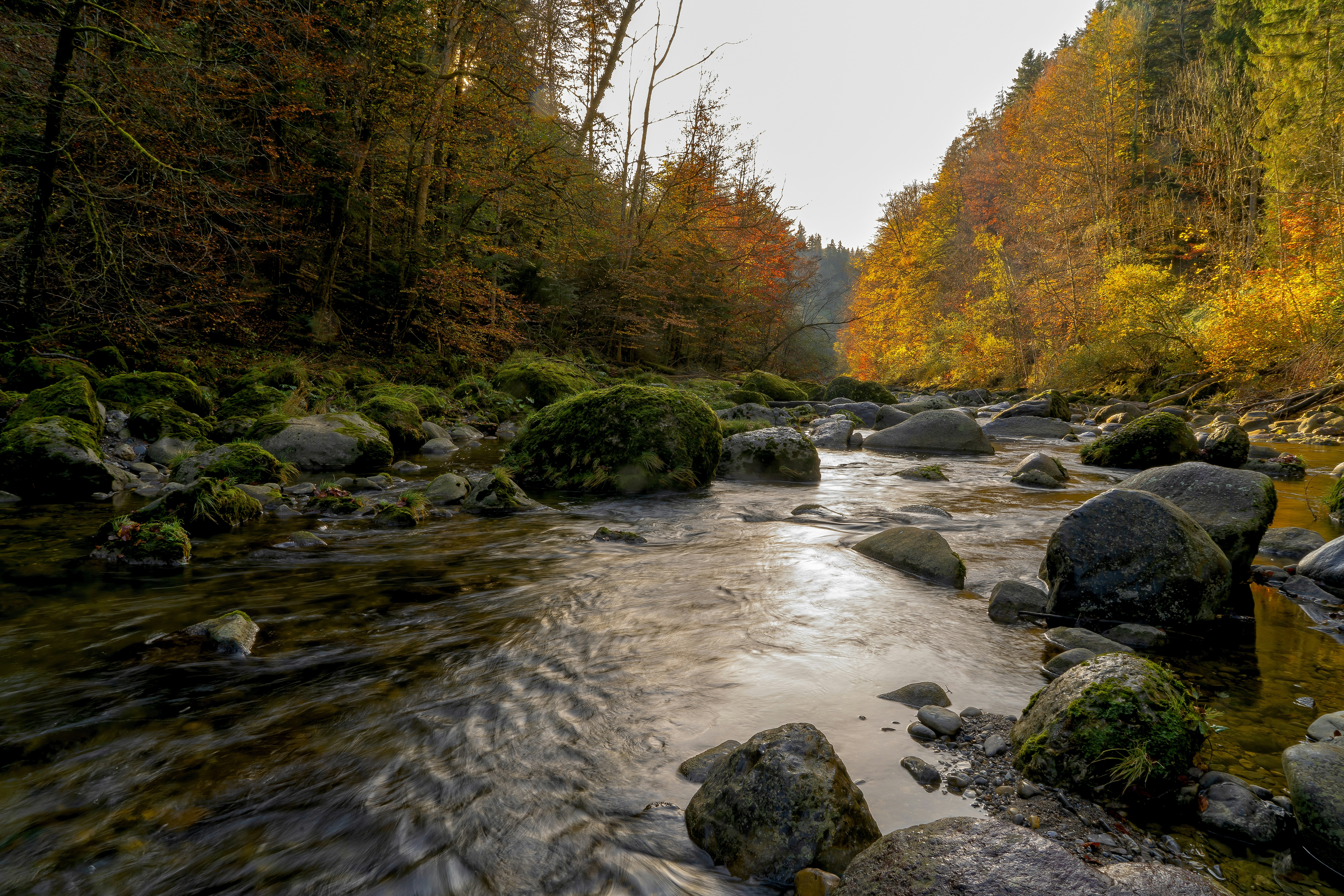 Photo by rgaleriacom