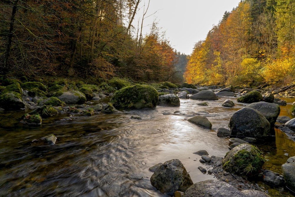 Zeitrafferfotografie eines Flusses mit Felsbrocken