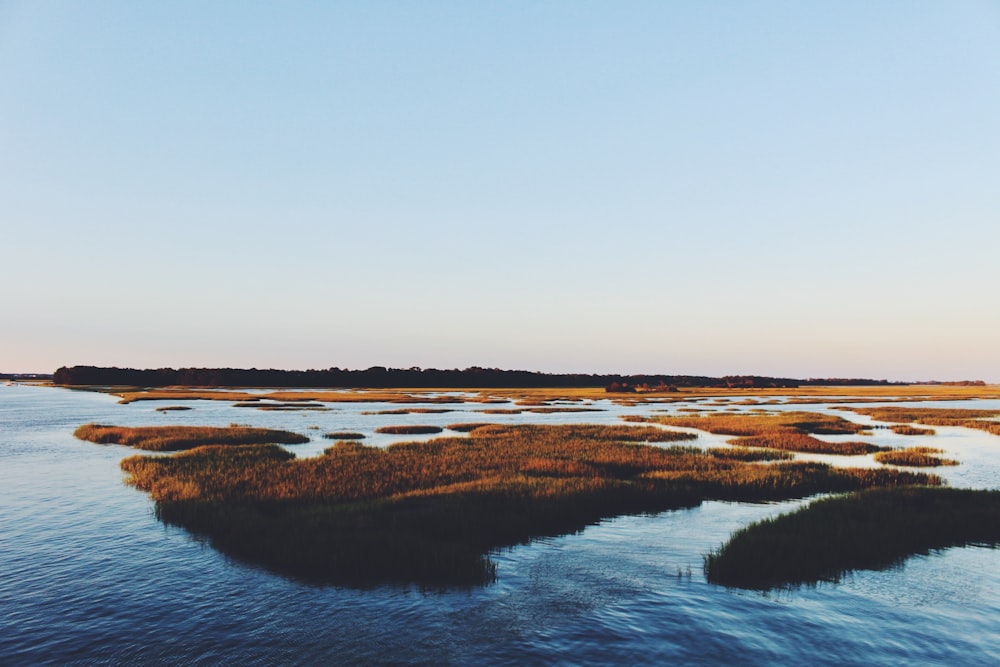 wide angle photo of river