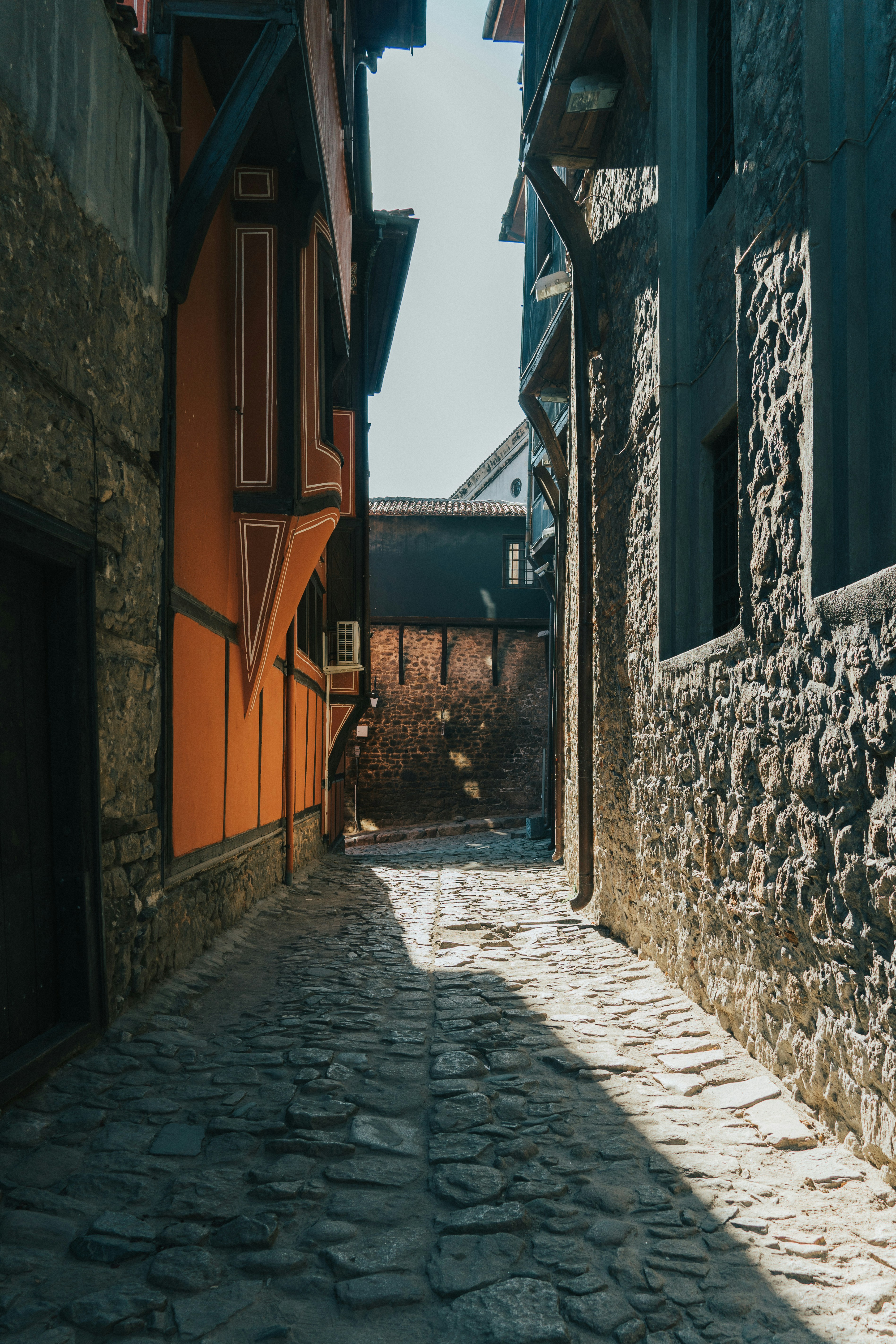 How Venus flytraps store short-term ‘memories’ of prey