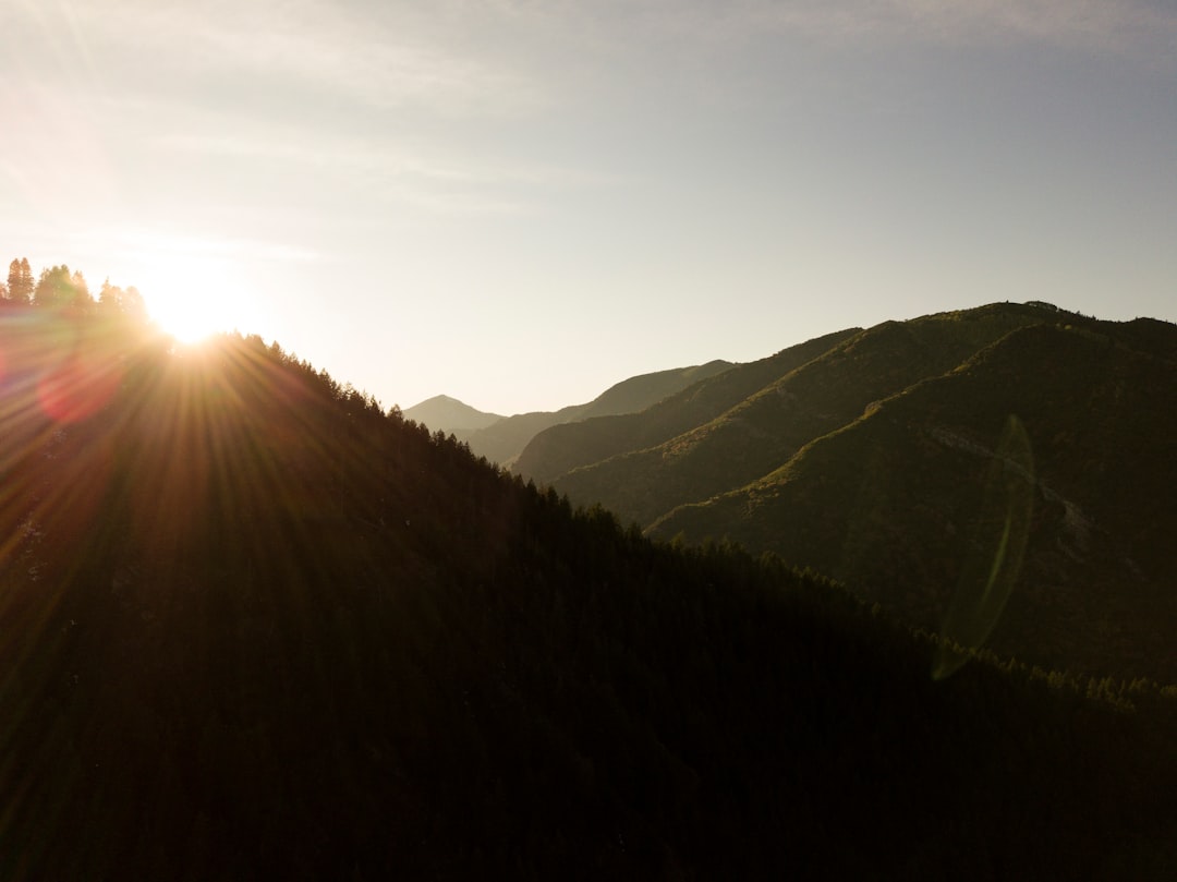 green forest mountain