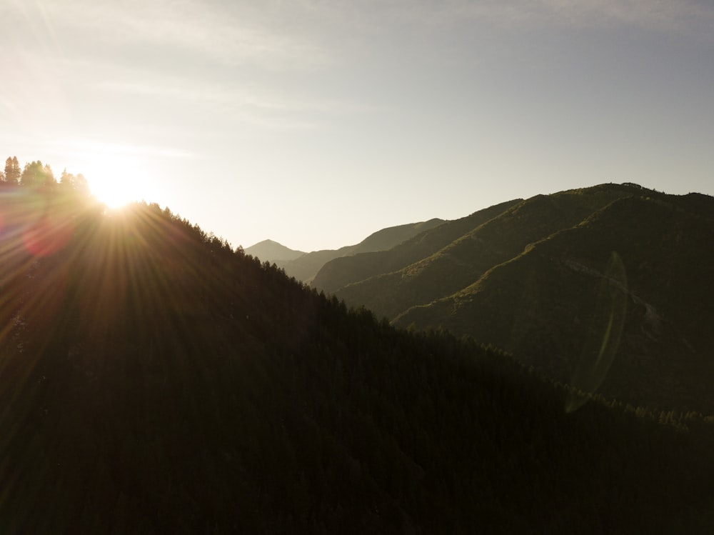 green forest mountain