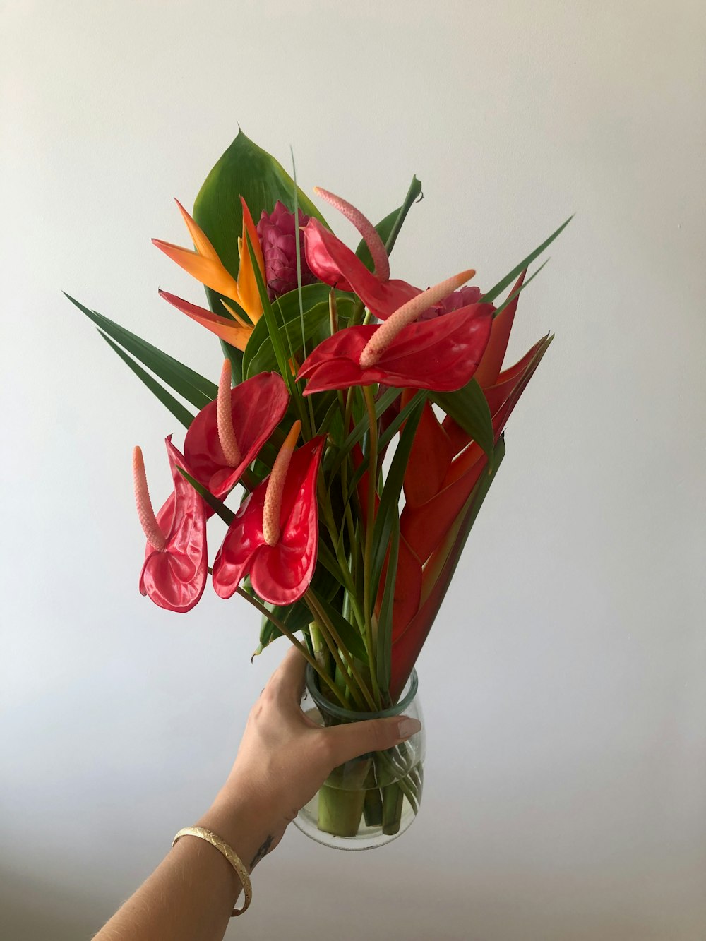 red anthurium flowers in vase