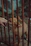 A brown puppy stands behind rusty metal bars, appearing to reach towards a hand that extends through the bars, possibly playing or being playful.