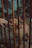 A brown puppy stands behind rusty metal bars, appearing to reach towards a hand that extends through the bars, possibly playing or being playful.