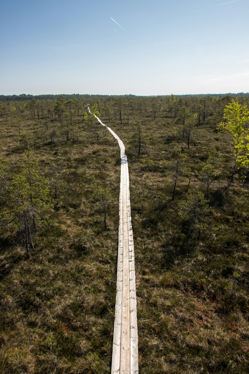 a long wooden walkway in the middle of a field