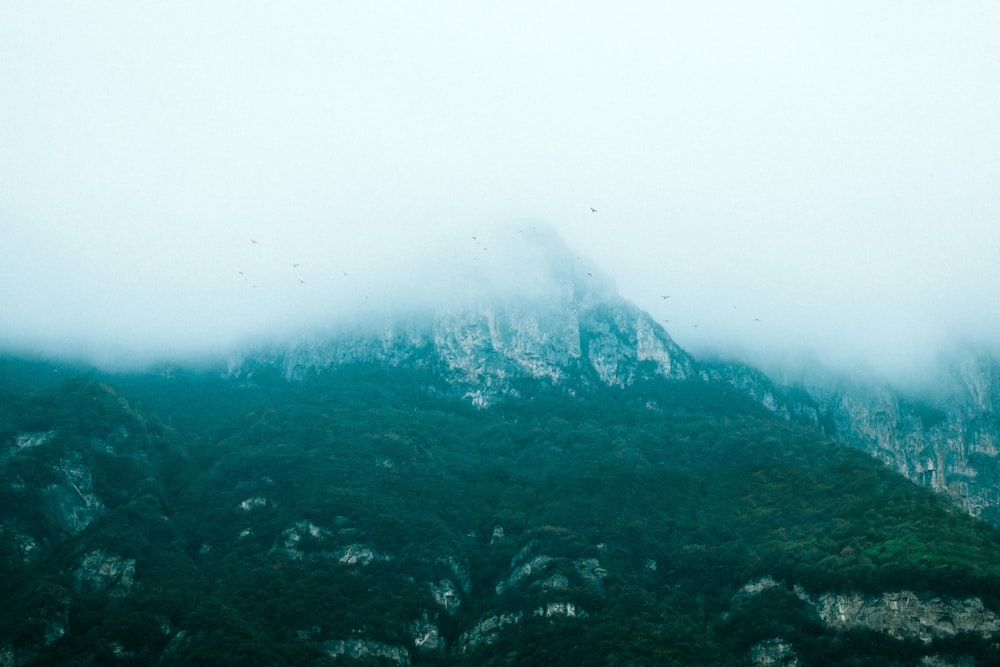 a very tall mountain covered in lots of fog