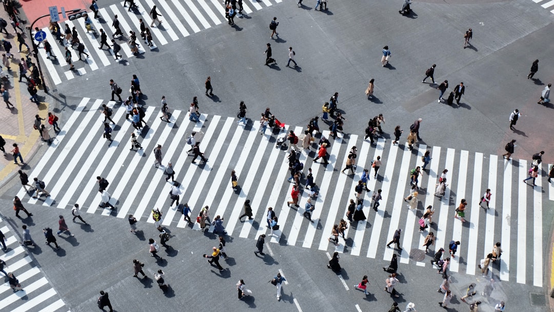 aerial view of people crossing on road,