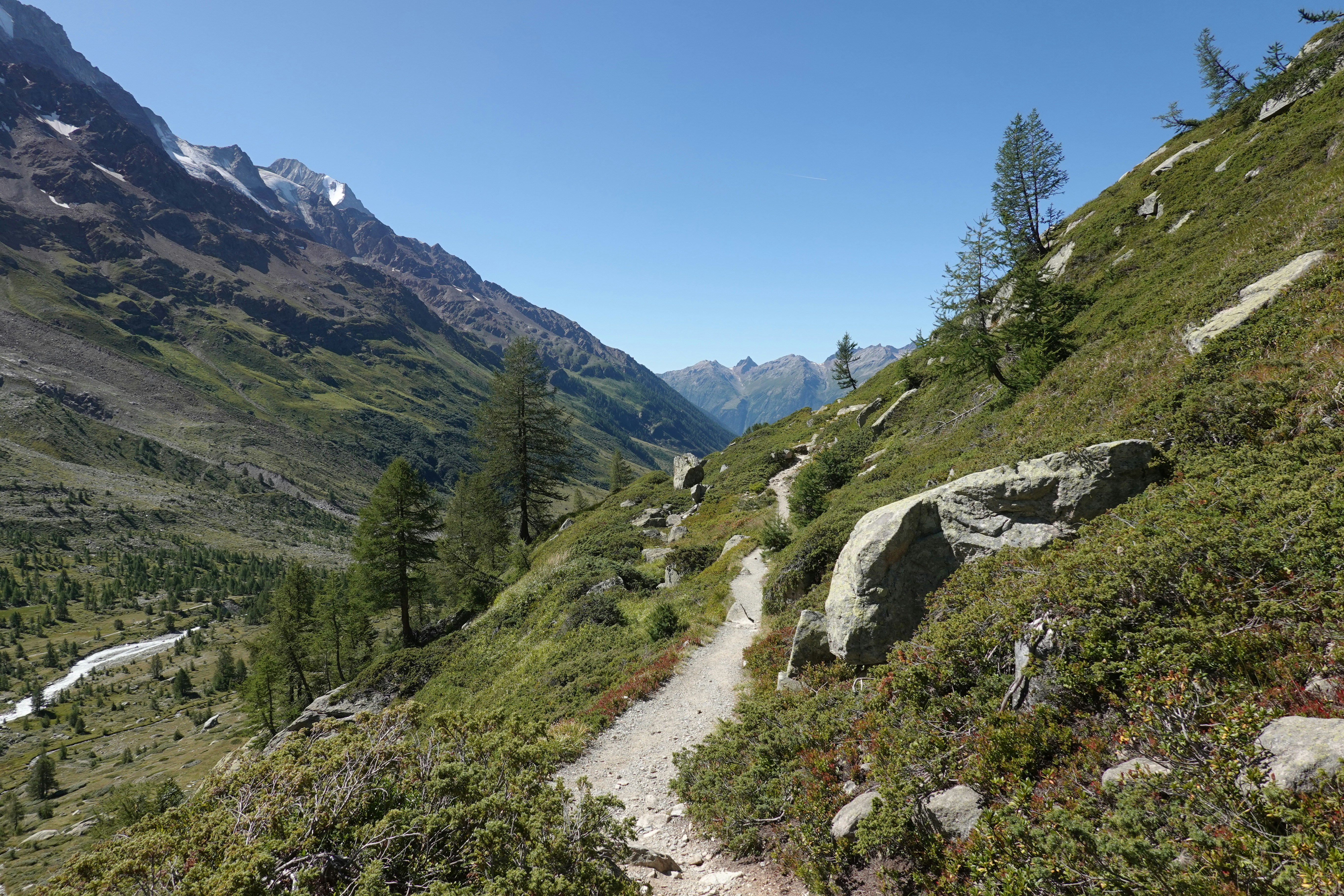 dirt road between grass field