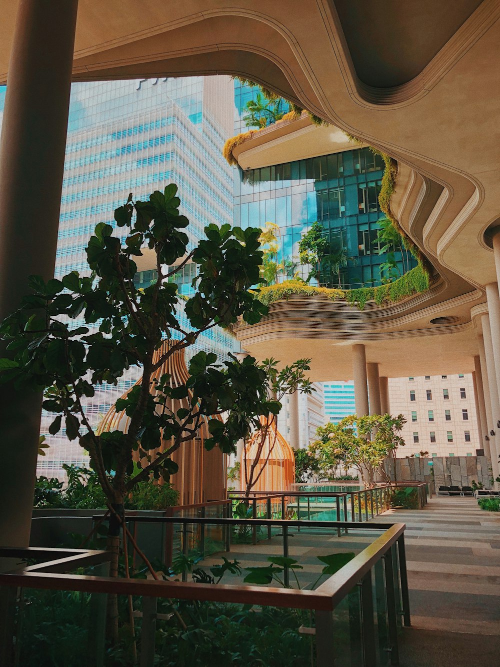 green trees near brown building