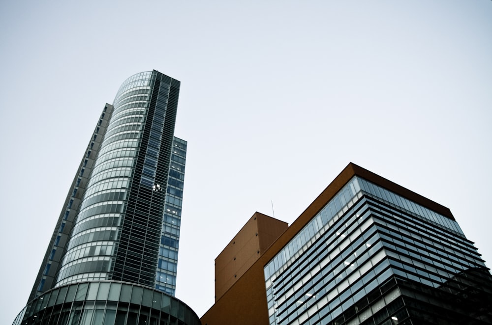 gray and black building scenery