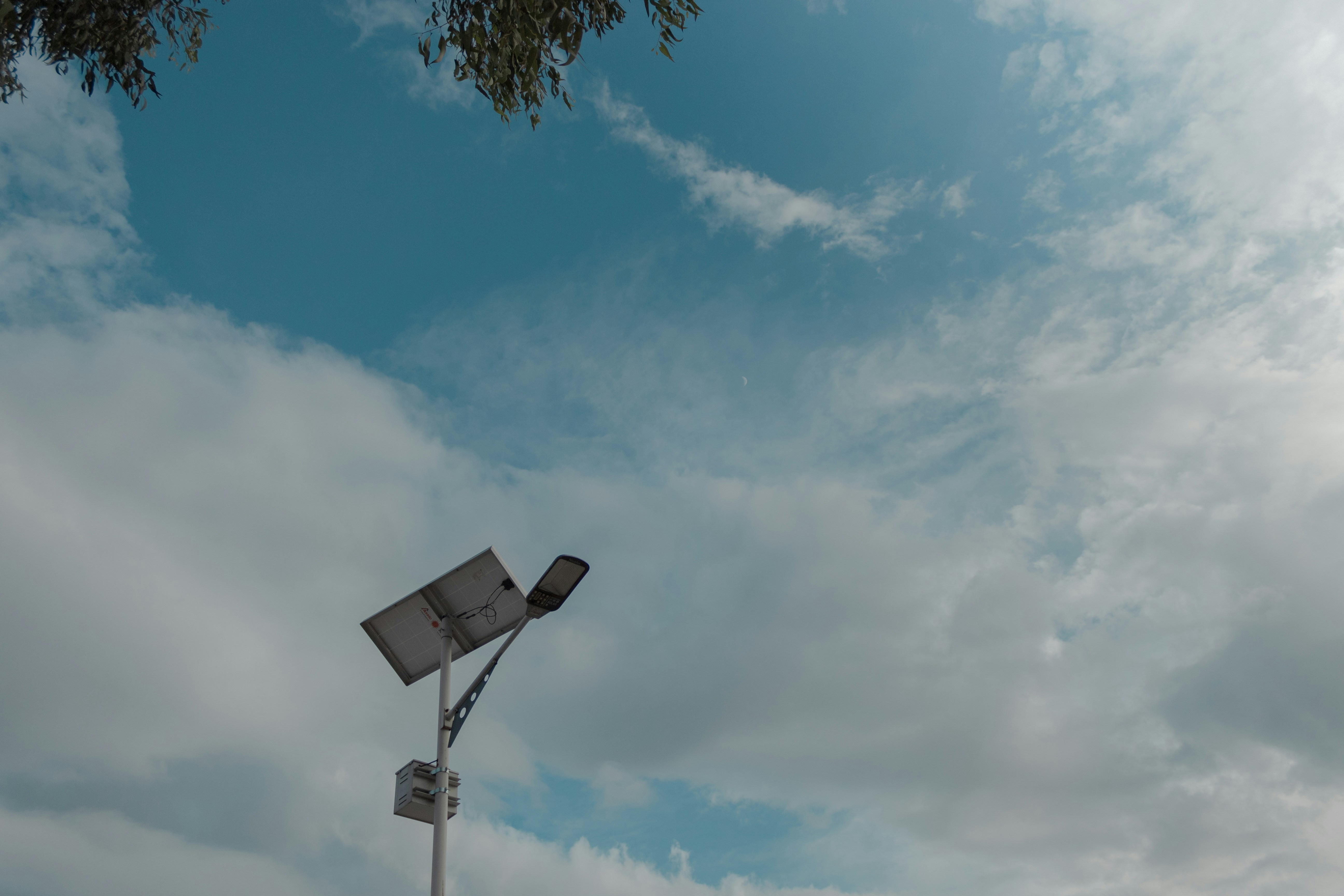 Photo by viperonking