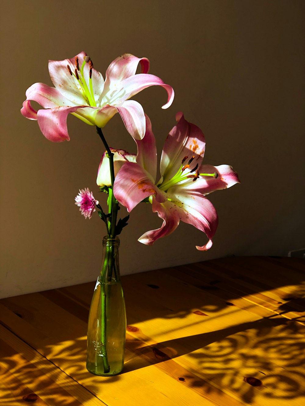 shallow focus photo of white and purple flowers