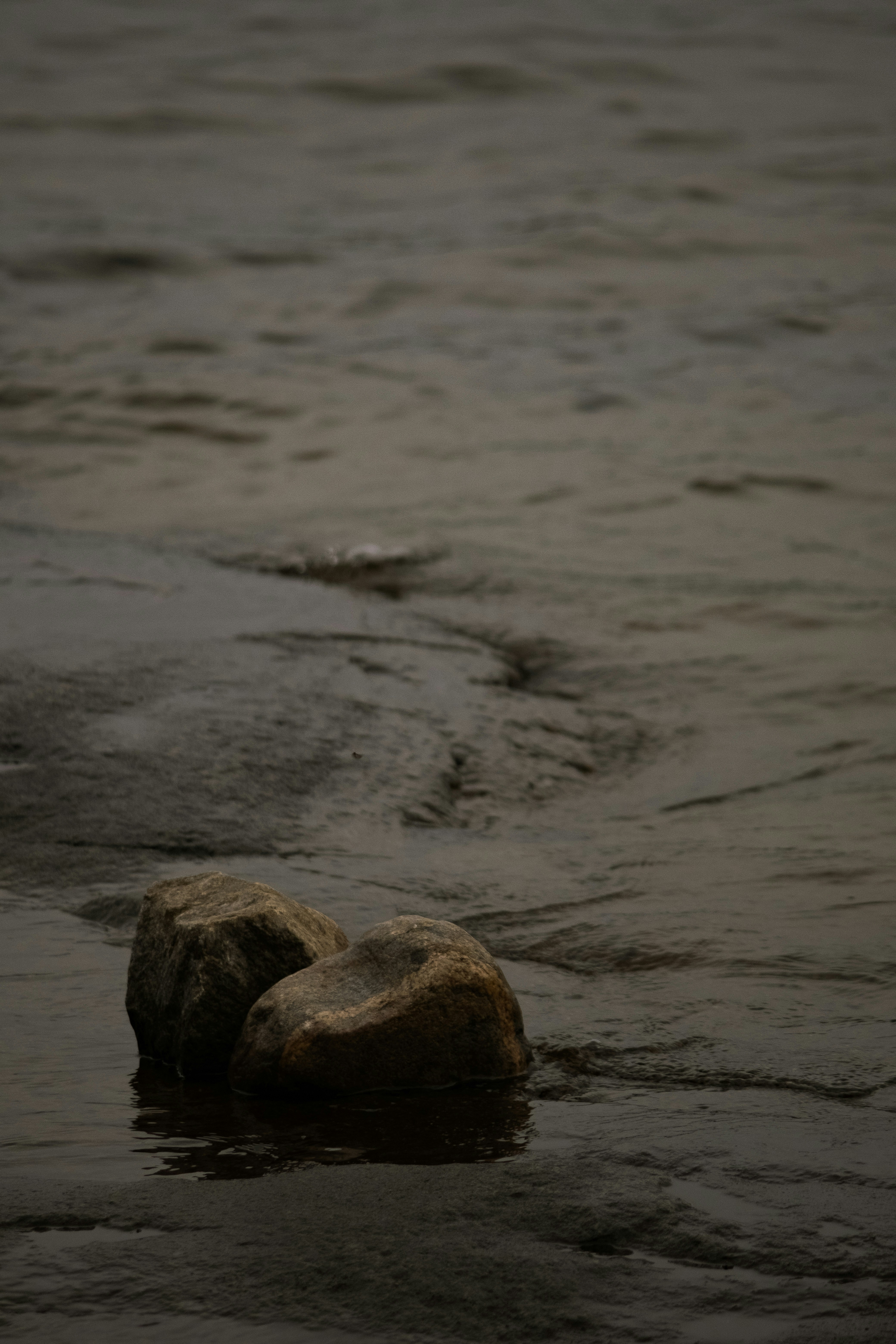 Photo by mimoto_photo