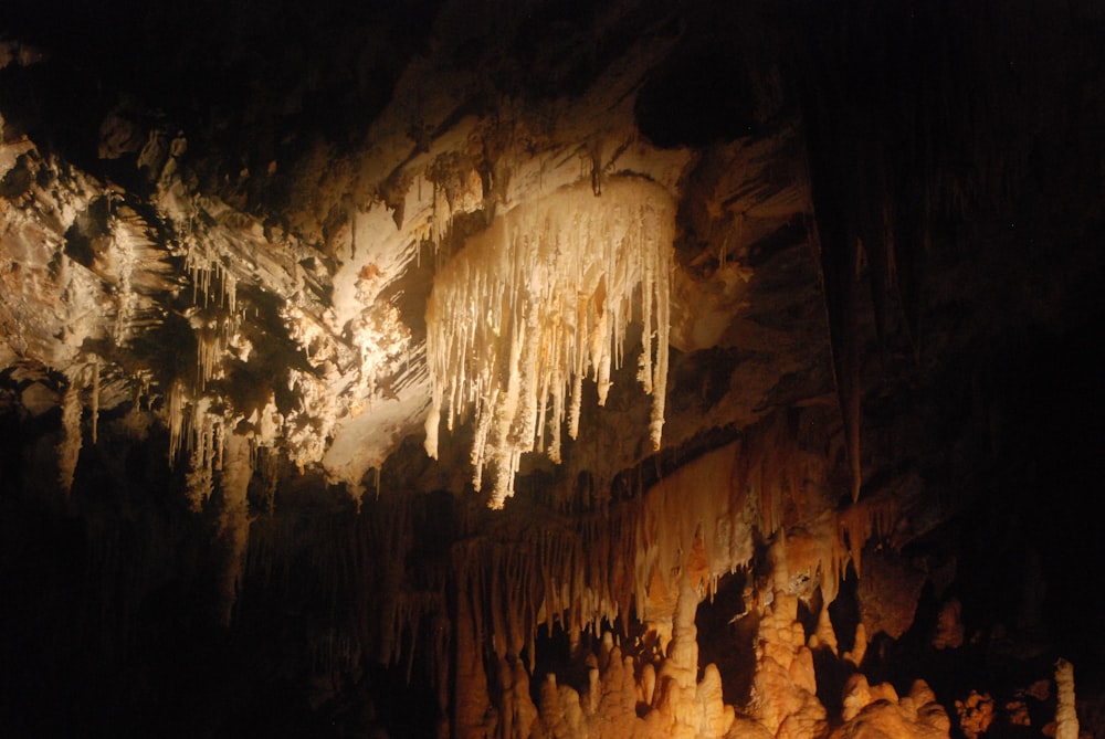 Une grotte remplie de beaucoup de stalates suspendues au plafond