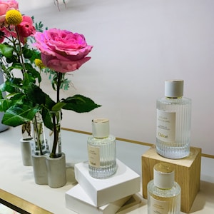 Zagora Signature Fragrance