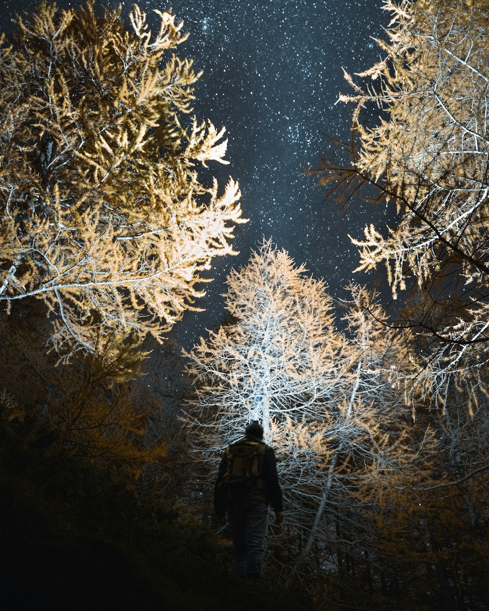 a man standing in the middle of a forest at night