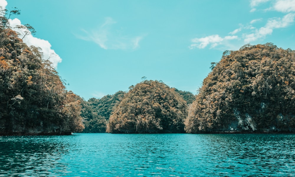 body of water during daytime