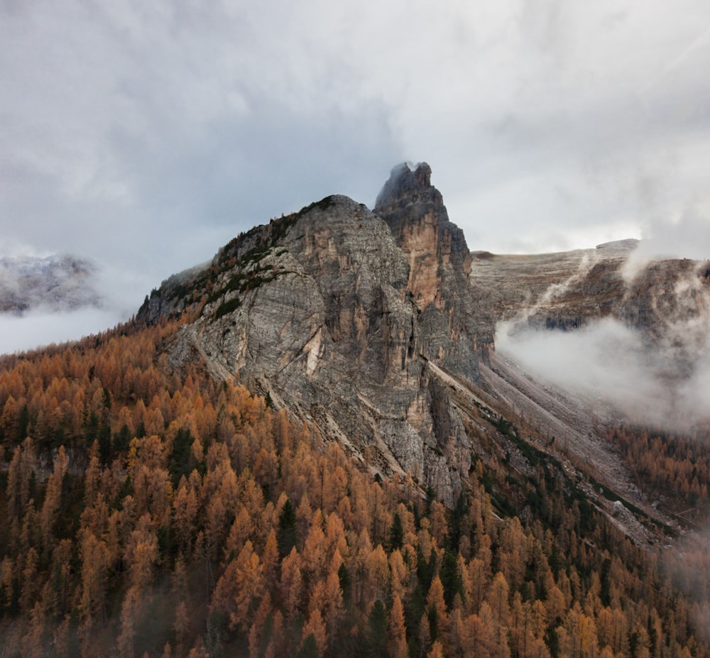 Berggipfel mit Blick auf den Wald unter weißem und grauem Himmel während des Tages