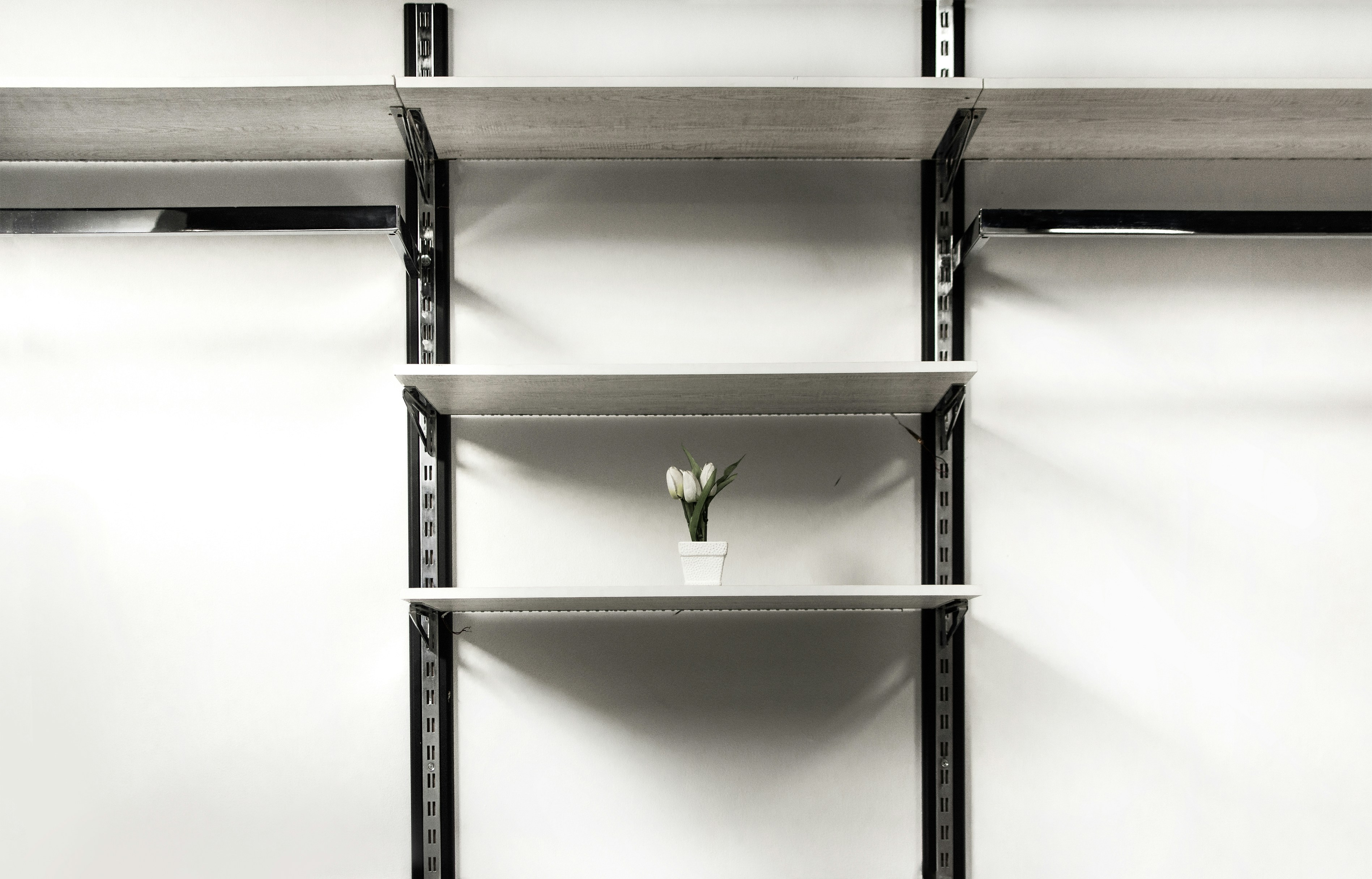 Photo by andrew_medhat98