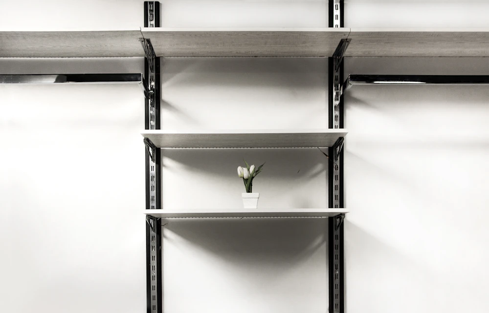 A potted plant on a wall shelf