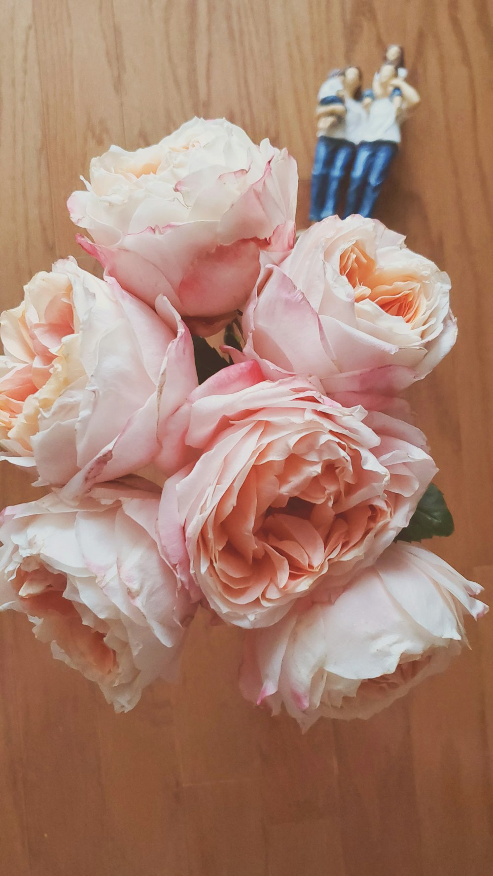 bouquet of pink carnation flowers