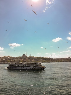 A ferry is sailing across a body of water under a clear blue sky with scattered clouds. Numerous seagulls are flying above. In the background, a city skyline with historic architecture and minarets is visible, silhouetted against the sunlight.