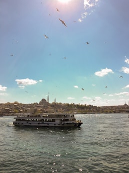 A ferry is sailing across a body of water under a clear blue sky with scattered clouds. Numerous seagulls are flying above. In the background, a city skyline with historic architecture and minarets is visible, silhouetted against the sunlight.