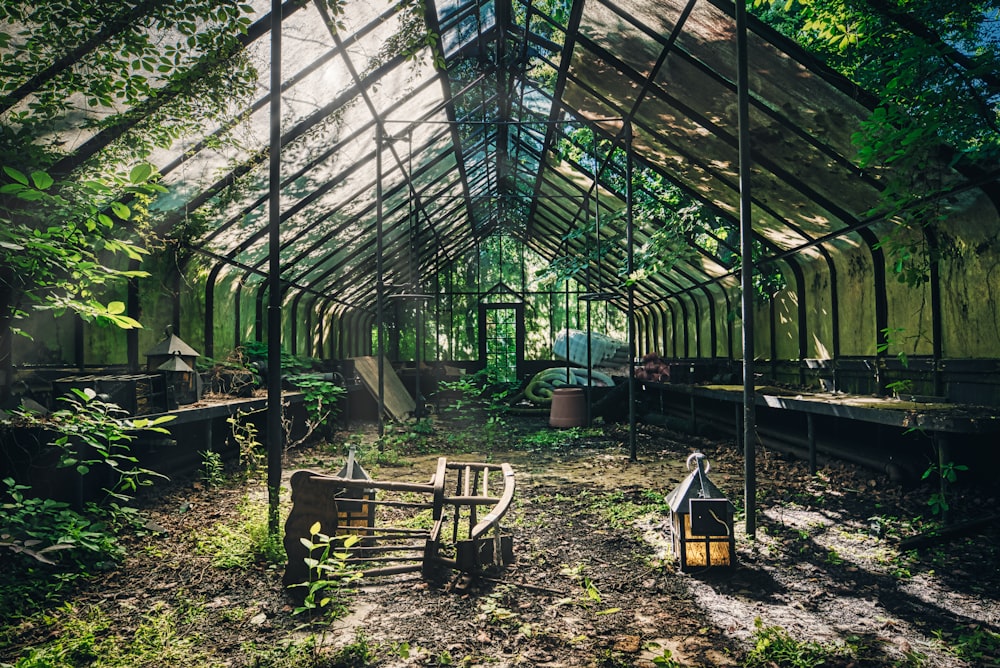 empty green house