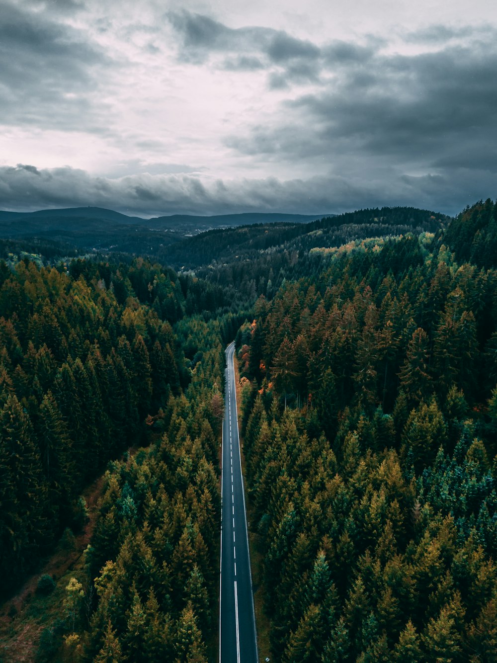 aerial photo of road