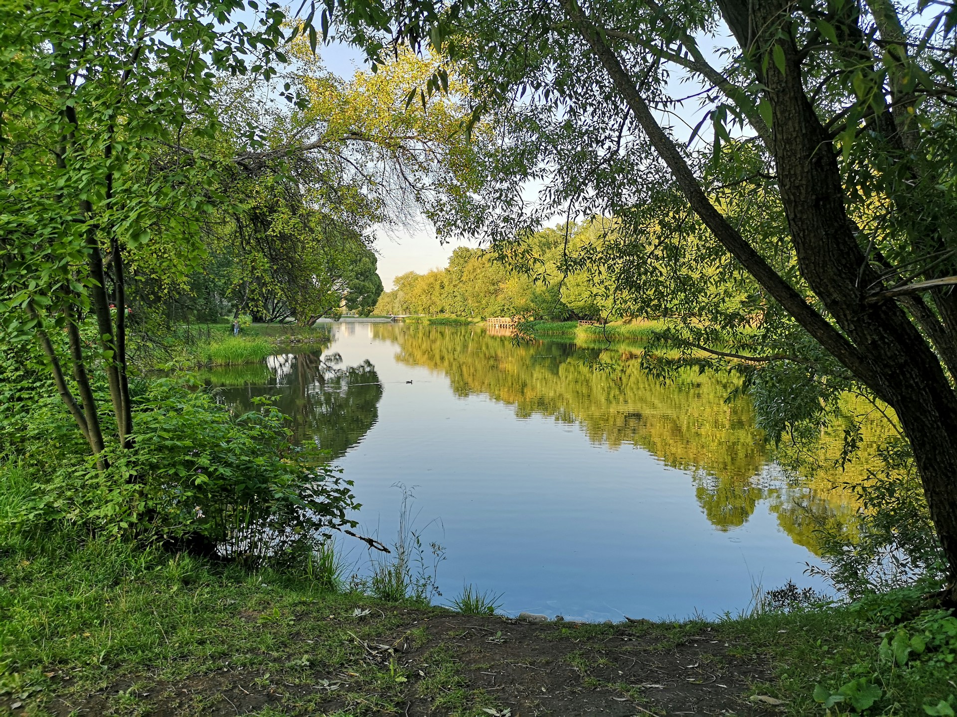 A serene lake at sunrise with soft golden light reflecting on the calm water, framed by lush green trees.