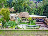 A lush tropical setting with a central thatched-roof building surrounded by dense greenery, including palm trees and bamboo. The area features a landscaped garden with a small curving pool. Nearby, there is a wooden deck and several open-air structures with draped curtains.