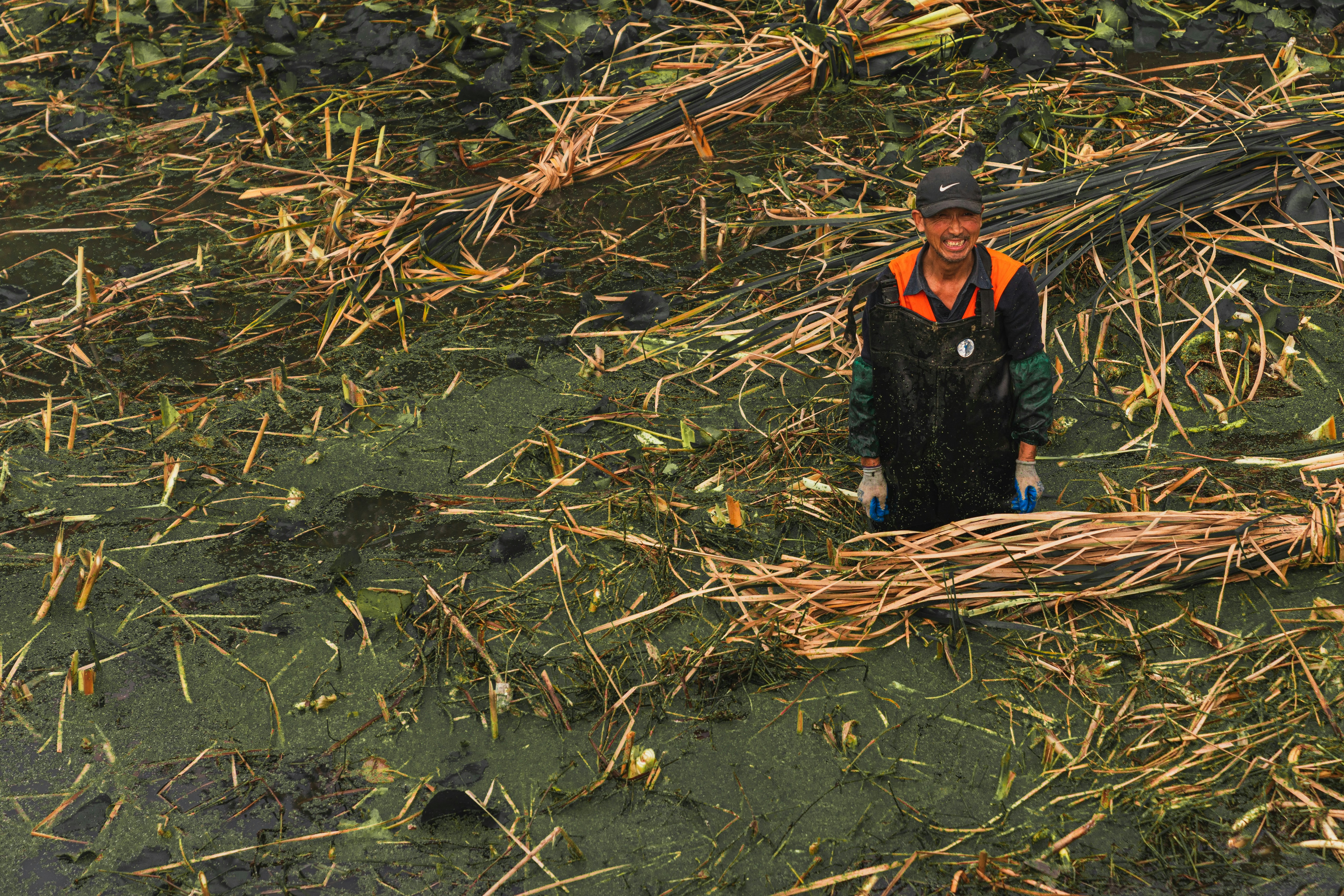 photo 1572793976061 26e1e46021dd?ixlib=rb 4.0