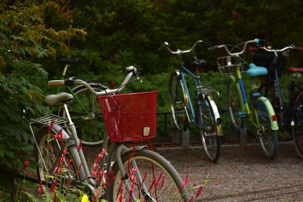 bicycles parked on side of the street