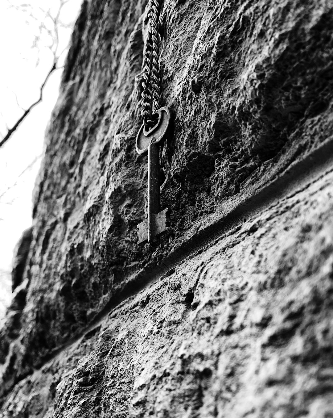 grayscale photography of skeleton key