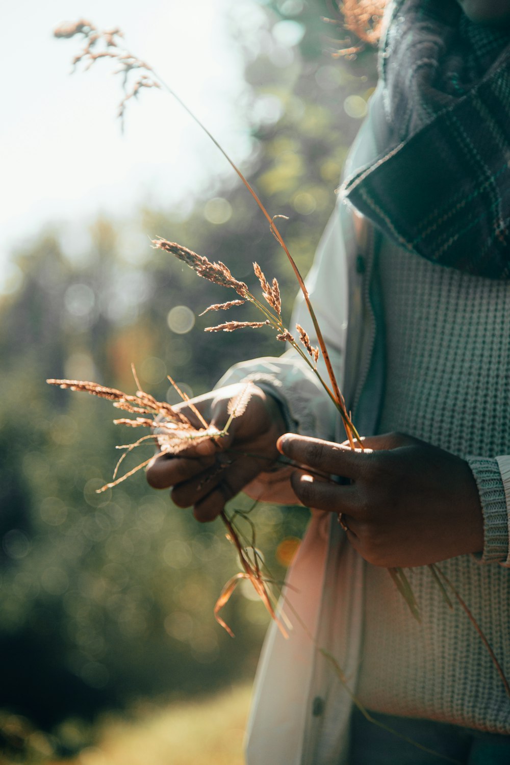 person holding brown flowers