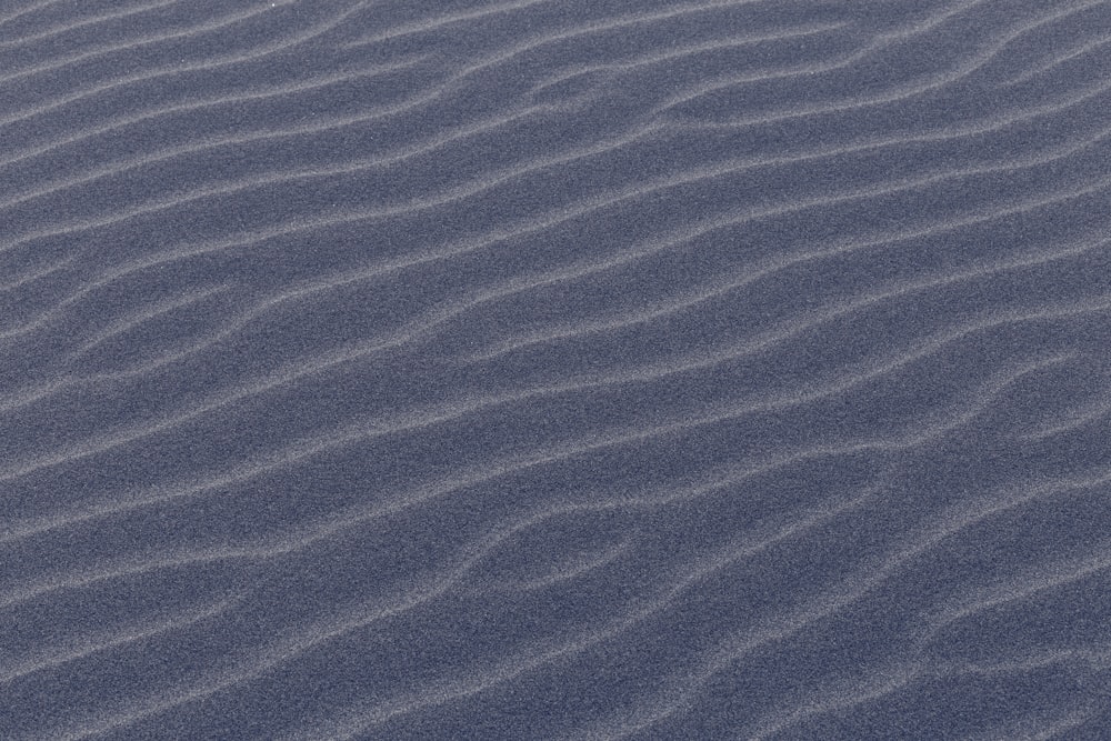 a bird is standing in the sand at the beach