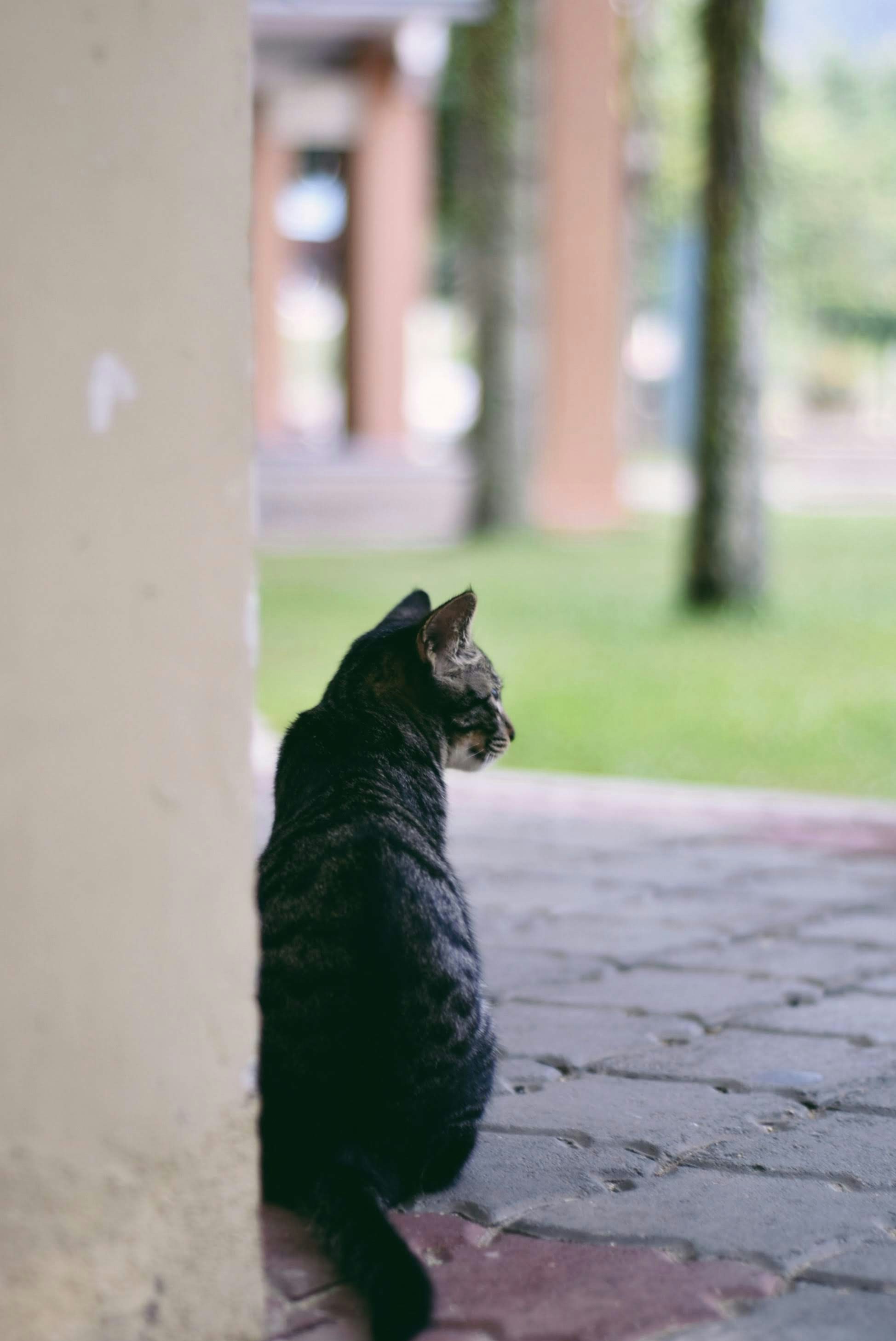 Photo by supershafiq_