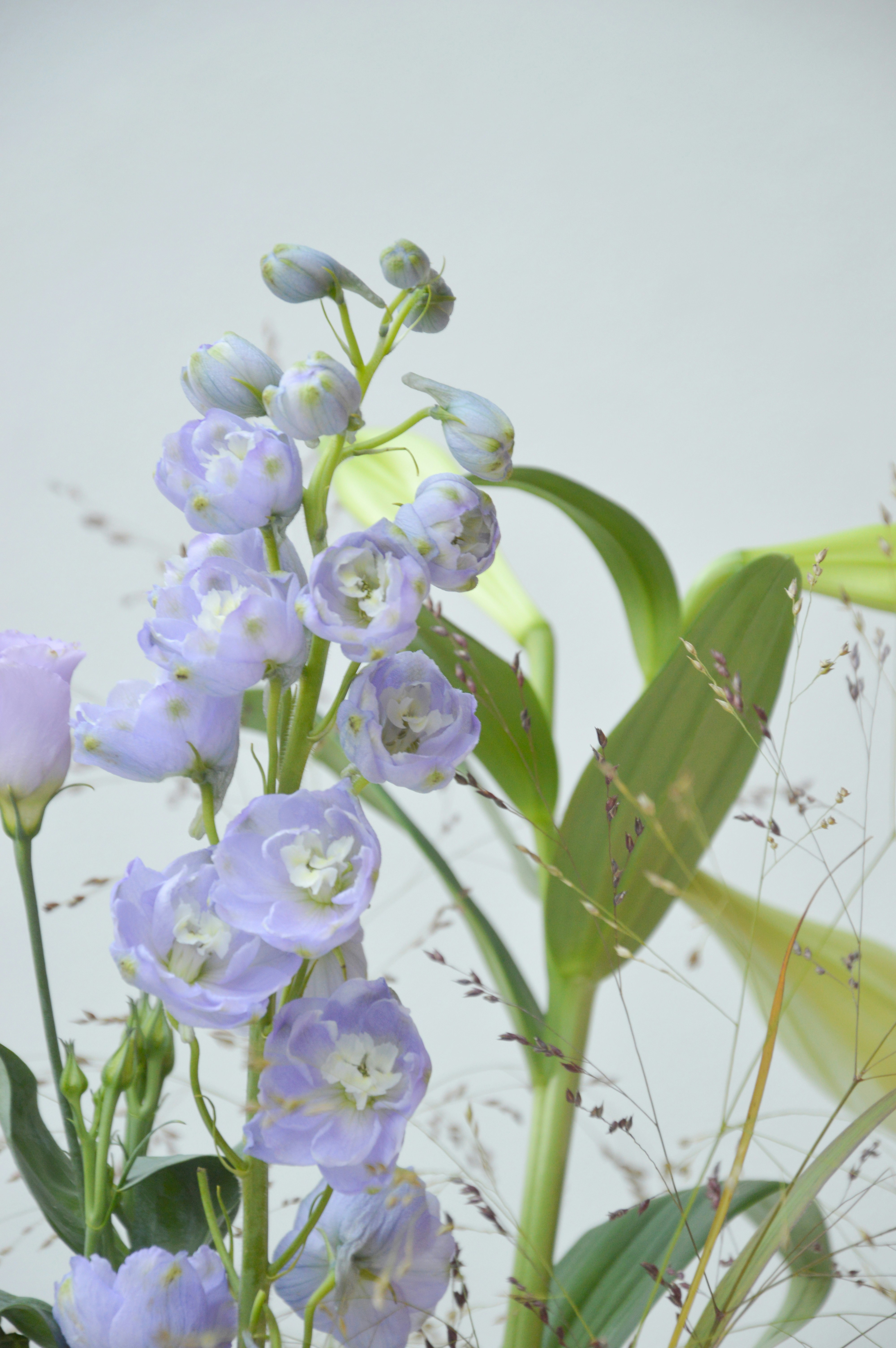 Photo by ajournalstationery