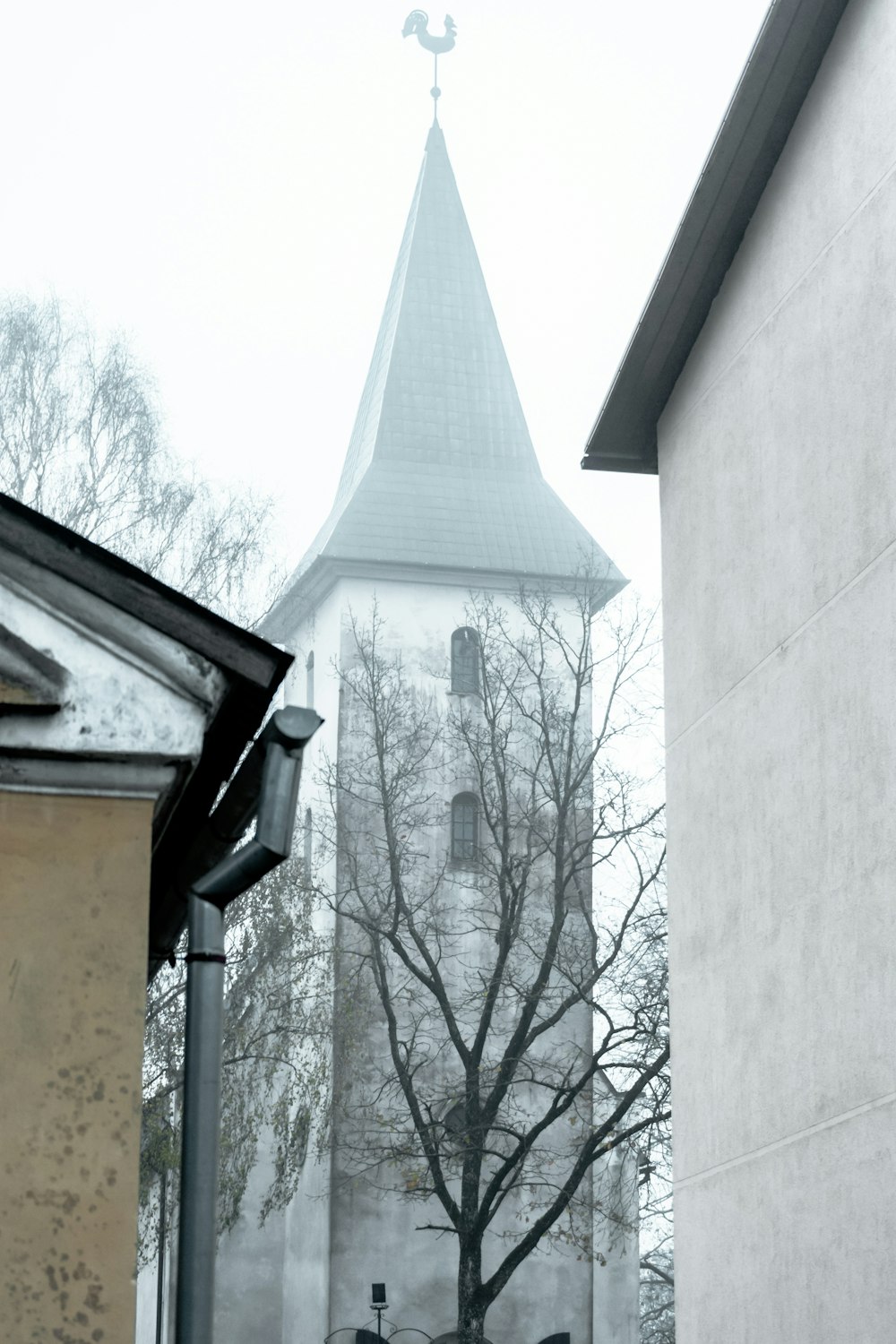 Árbol desnudo junto a una iglesia de hormigón gris