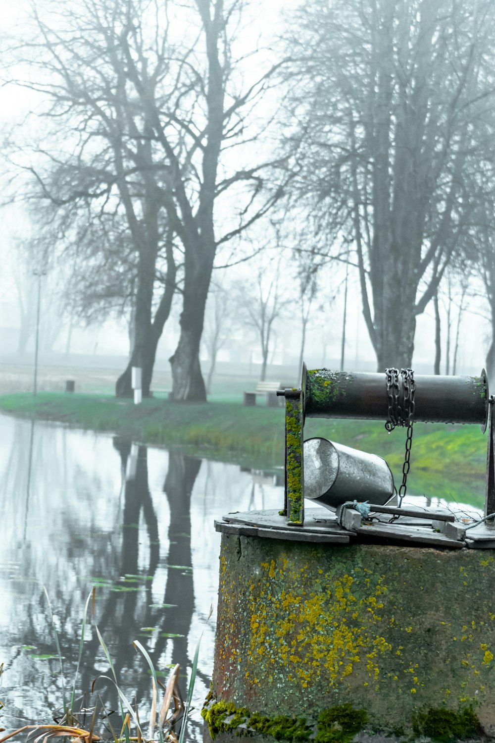 alberi spogli vicino allo specchio d'acqua