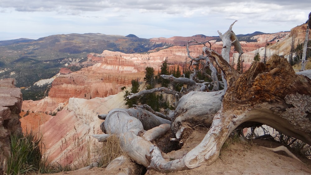 aerial photography of brown rock hills during daytime